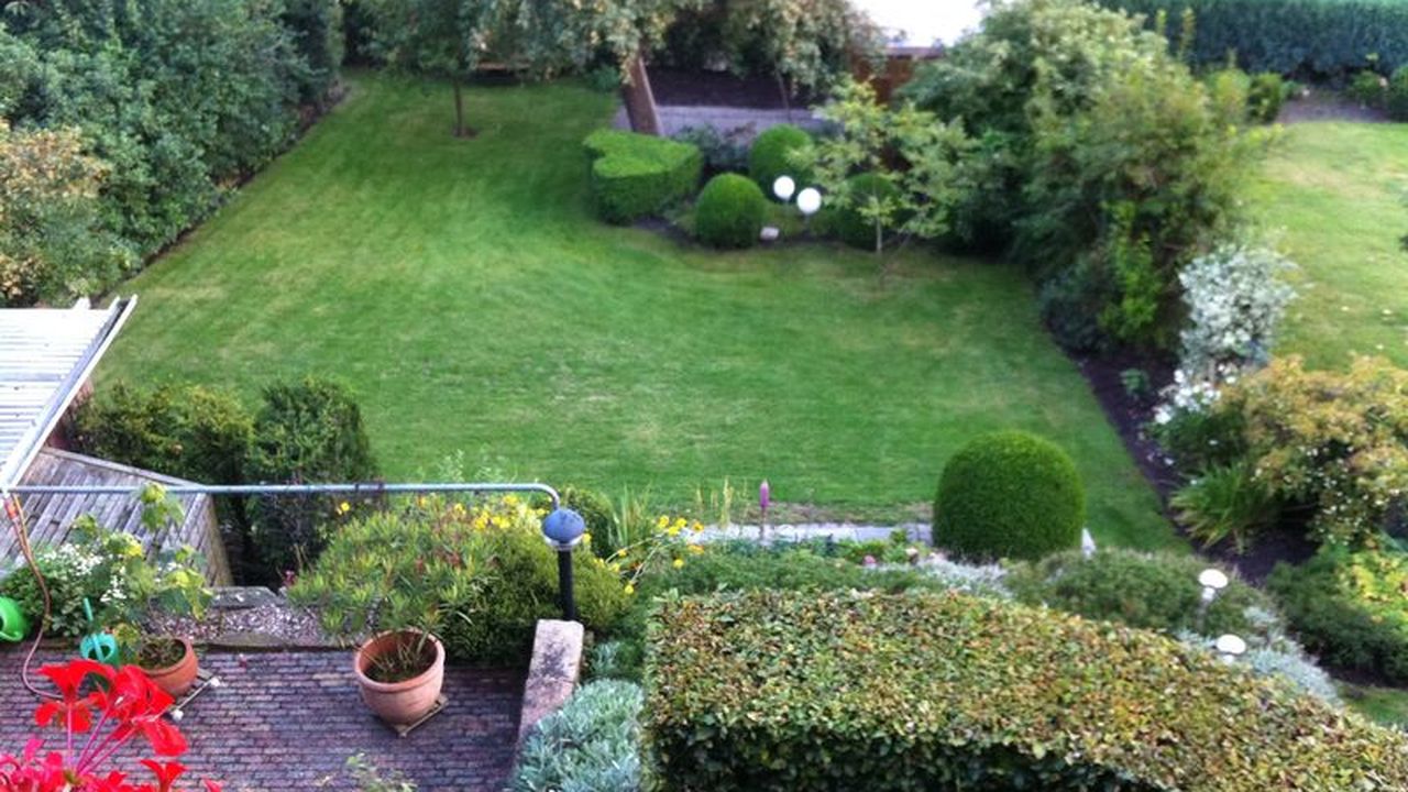 Garten (Sommer) Garten (Sommer)